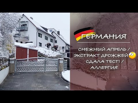 Видео: ГЕРМАНИЯ. Снежный апрель / Экстракт дрожжей / Сдала тест /Аллергия