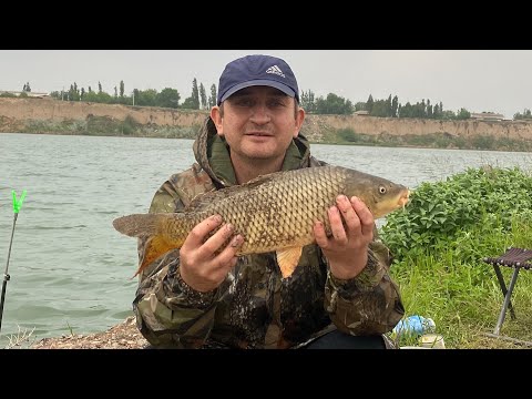 Видео: Рыбалка на БУРГУЛЮКЕ 2025.