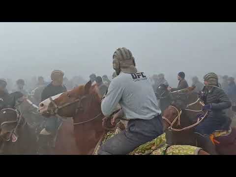 Видео: КУПКАРИ САВЕТОВОДА2 2 декабря 2024 г.