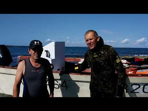 Видео: 2019 09 14 подводная охота в Баку