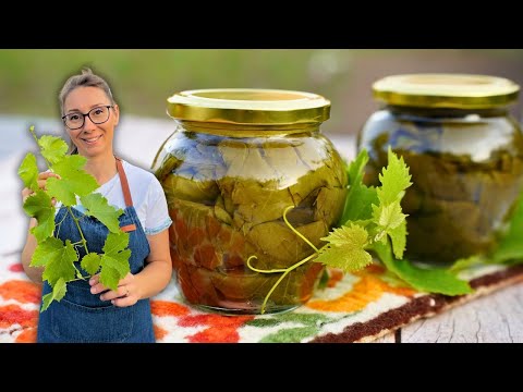 Видео: Как да съхраним лозови листа за зимата лесно и бързо | Консервиране на лозови листа