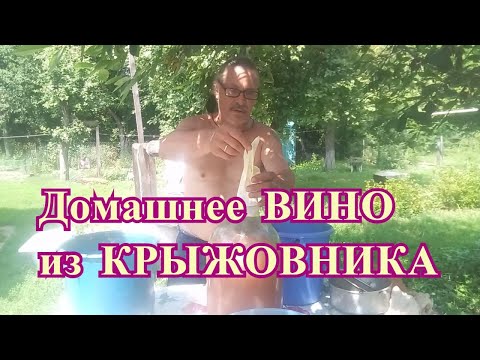 Видео: Домашнее ВИНО из КРЫЖОВНИКА - Сделай сам