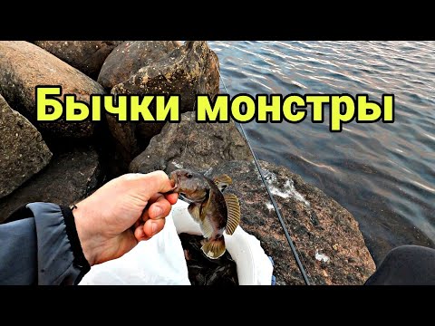 Видео: Рыбалка на бычка.Ловля бычка на куриные сердечки