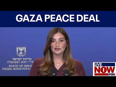 Видео: Представитель правительства Израиля проводит брифинг для СМИ в связи с прекращением огня