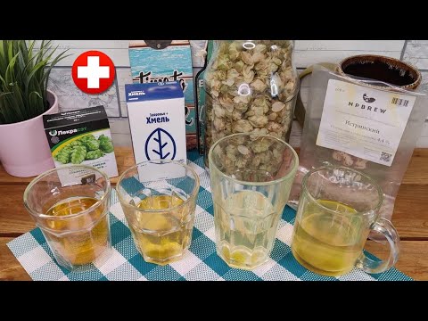 Видео: Хмель из аптеки - собираюсь варить с ним пиво. Сколько брать? Пробую на вкус и сравниваю с обычным.
