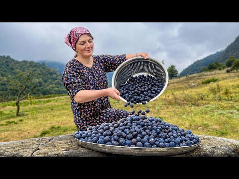 Видео: Собрана огромная миска слив! Семья отшельников готовится к зиме