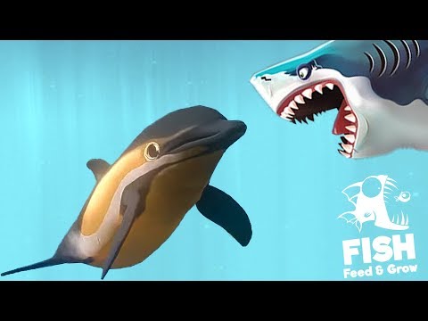 Видео: ЭВОЛЮЦИЯ ДЕЛЬФИНА - САМЫЙ МИЛЫЙ ПРОТИВ АКУЛ | РЫБИЙ ЧЕЛЛЕНДЖ FEED AND GROW FISH