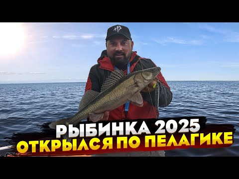 Видео: СуДаК на РыБиНкЕ 2025! Отдых, рыбалка, кайфы..! Где искать судака на рыбинке
