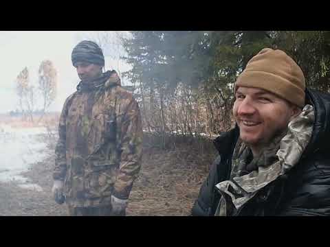 Видео: весенняя охота в южной части Архангельской области