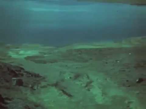 Видео: Тараз (Джамбул), Архивная видеохроника (Новые краски старого города)