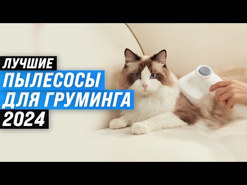 Видео: ТОП–6. Лучшие пылесосы для груминга 🐾 Рейтинг 2024 года 🏆 Какой выбрать для собак и кошек
