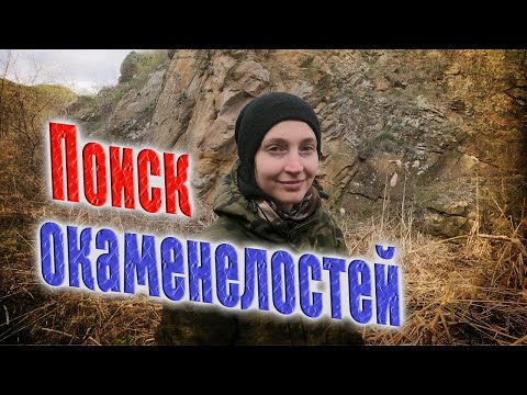 Видео: Интересные окаменелости по скалам и оврагам