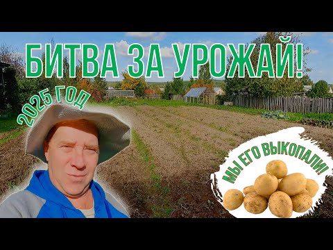 Видео: Битва за Урожай 2025. ... Маленькая Победа, которой мы гордимся. Выкопали картофель!