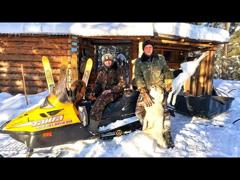 Видео: МОРОЗ - 40°.СИБИРСКАЯ ТАЙГА. ПУШНОЙ ПРОМЫСЕЛ В ФЕВРАЛЕ 2022г.