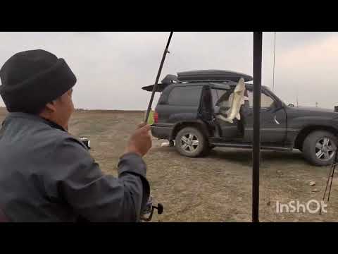 Видео: 26 октября 2025 г.