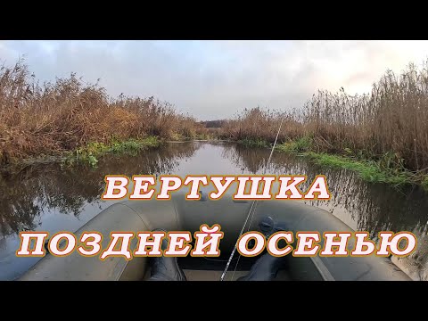 Видео: Вертушка поздней осенью ВЫРУЧИЛА по щуке! Рыбалка в траве для всех даёт результат!