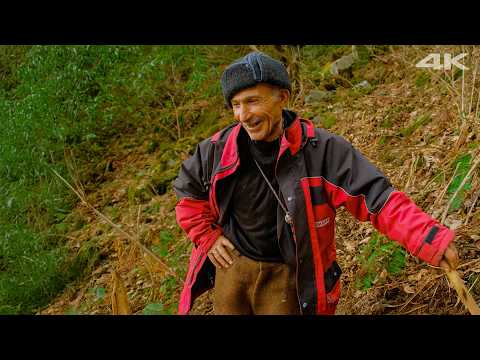Видео: Пастух в долине | Документальный фильм ▫️4K▫️