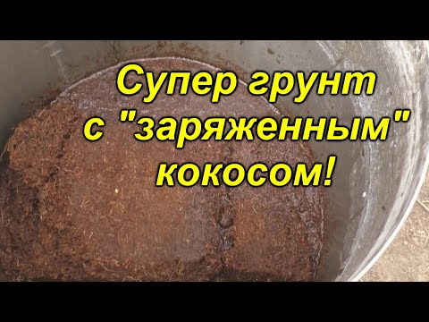 Видео: Правильное приготовление кокосового субстрата+заправка его "Рост концентратом"