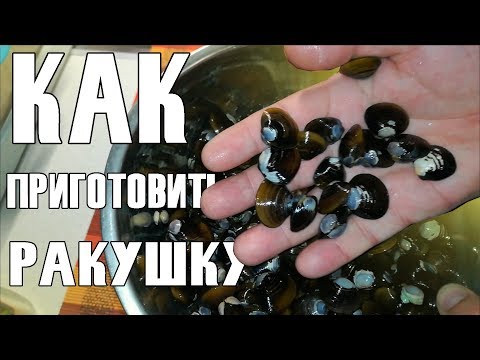 Видео: КОРБИКУЛА ПОЛЕЗНАЯ РАКУШКА | КАК ПРИГОТОВИТЬ