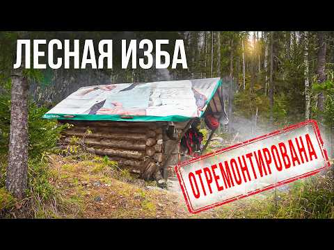 Видео: НОЧЬ В ЛЕСНОЙ ИЗБУШКЕ. ПЕРЕХОДНАЯ ИЗБА. ЛЕСНОЙ БЫТ, РЕМОНТ ЗИМОВЬЯ