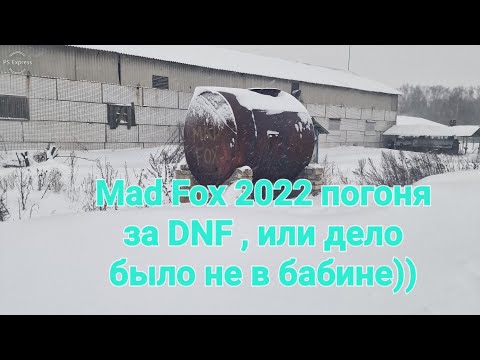 Видео: Мэд фокс 2022