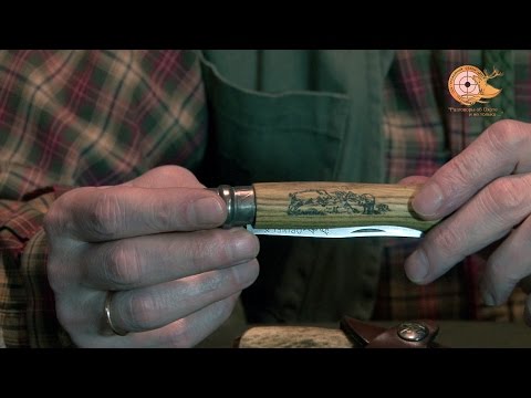 Видео: Ответы на вопросы: Sabatti Forest, Opinel и др.  (выпуск 25)