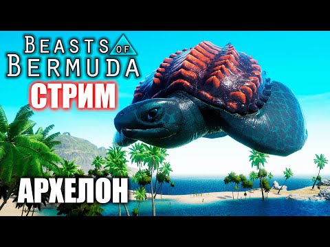 Видео: ЧЕРЕПАХНУТЫЙ СТРИМ ► АРХЕЛОН | BEASTS OF BERMUDA