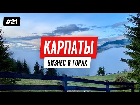 Видео: Домик в Карпатах: разбор бизнеса