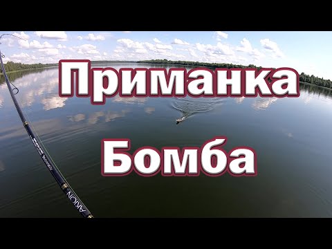 Видео: ЛОВИТ ВСЁ ПОДРЯД !!!  Бенефис одной приманки . Поймает даже начинающий.  Рыбалка на спиннинг