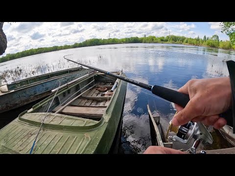 Видео: КИНУЛ приманку в ТРАВУ, ОНА СХВАТИЛА. Рыбалка на спиннинг на реке, щука в 2024