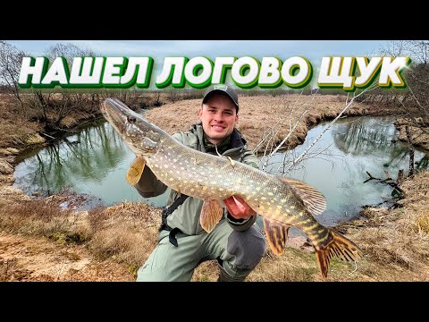 Видео: Да сколько ЩУКИ в этом ОМУТЕ?! Как выглядит "Партсобрание" на маленькой речке!