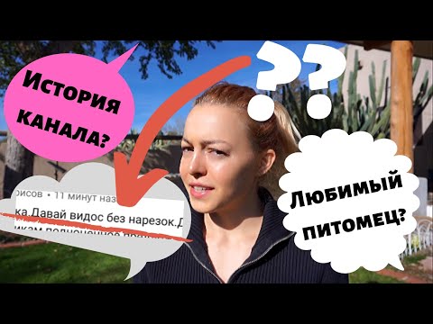 Видео: Вопрос-ответ БЕЗ НАРЕЗОК (скуууучно, не надо смотреть)