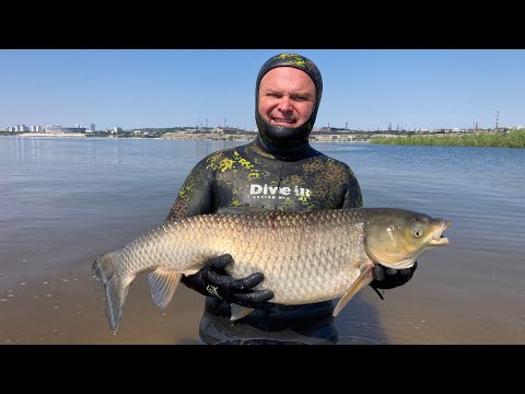 Видео: Секреты подводной охоты с Василием Шкутяк