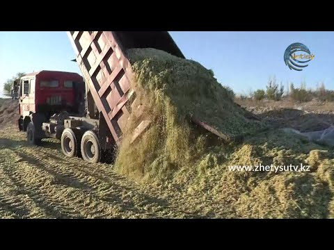 Видео: АГРОЛАЙВ - Мал азығы маңызды мәселе. Жем-шөп қымбат / Баға бақылаудан шығып кеткен / 22.10.21