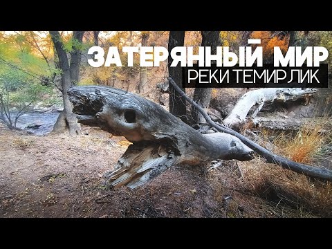 Видео: Затерянный мир реки Темирлик