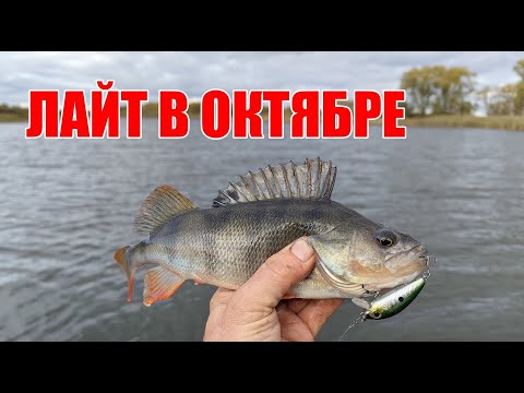 Видео: Погонял щучек на лайтовые воблеры в октябре