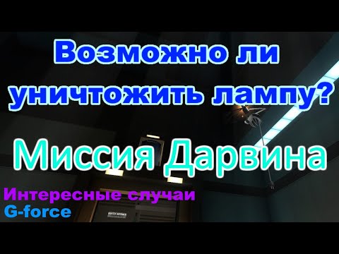 Видео: Интересные случаи в игре Disney Миссия Дарвина