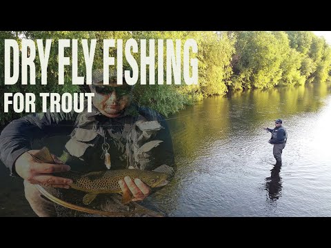 Видео: Episode 2.Риболов на ПЪСТЪРВА със суха муха . /Ep. 2 Dry Fly Fishing for Trout on the Ogosta river/