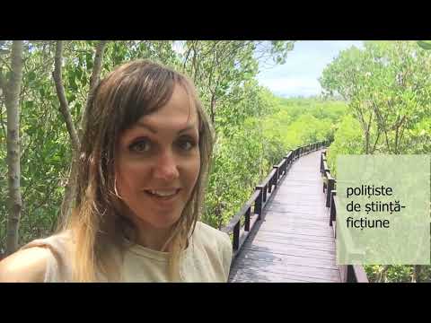 Видео: Румынский язык.Некоторые выражения с глаголом a avea, вопрос ce fel de