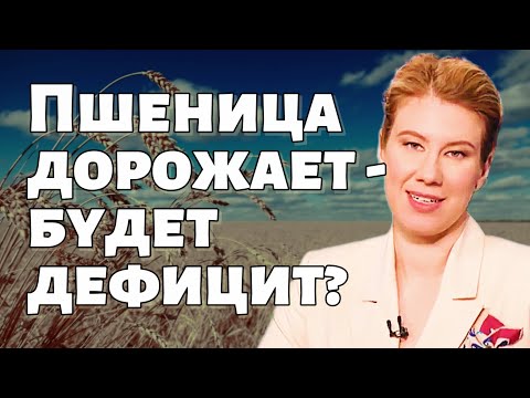 Видео: Novabev Белуга дарит по 7 акций - зачем? / Цены на пшеницу растут - что значит для Русагро и НМТП?