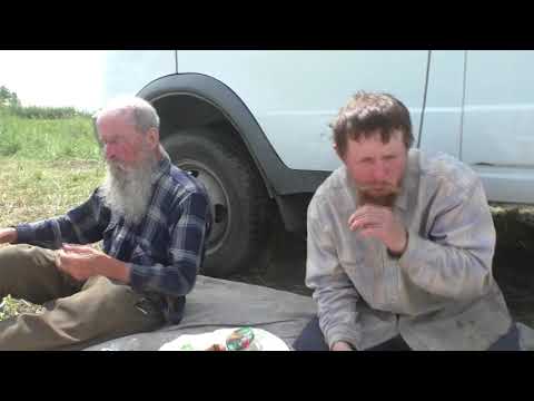 Видео: Обед на Рыжковском пруду.  18. 07. 2022