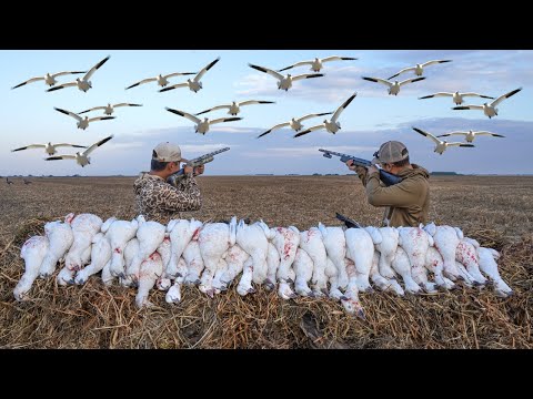 Видео: БЕЗУМНАЯ 30-минутная охота на снежного гуся! (АКТИВИРОВАН РЕЖИМ ДЖОНА УИКА)