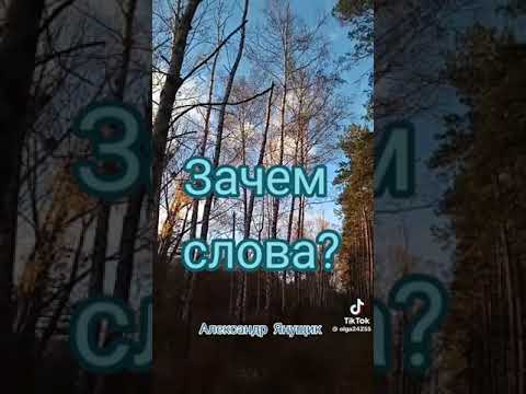 Видео: Александр Янущик.  Зачем слова.