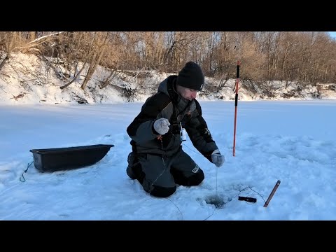 Видео: ОСТАВИЛ САМОЛОВКИ НА ДВОЕ СУТОК БЕЗ ПРИСМОТРА! Так рыбачили наши предки! Зимняя рыбалка 2021-2022.