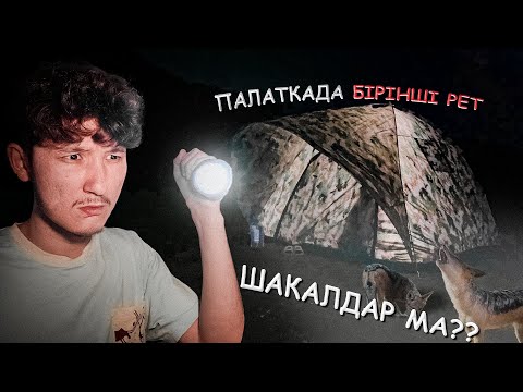 Видео: Алғашқы рет ПАЛАТКАДА достарыммен түнедім...