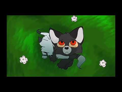 Видео: 🐾 КОТЫ ВОИТЕЛИ 🐾 БЕЛОГРИВКА И ОСТРОЛАП"Мои руки не крылья, да люди не птицы