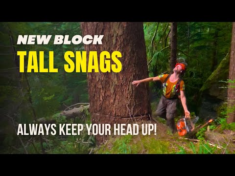 Видео: Новые блоки и высокие коряги