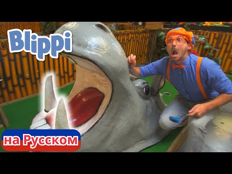 Видео: Блиппи изучает животных! | Блиппи на Русском | Изучай этот Мир вместе с Блиппи | Blippi