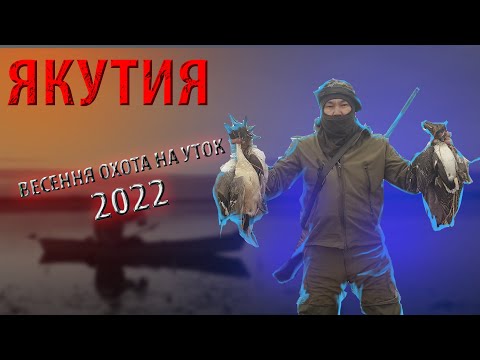 Видео: ОХОТА НА УТОК ЯКУТИЯ - 2022  (DUCK HINTING - СААСКЫ КУС)