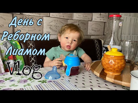 Видео: Vlog День с Реборном Лиамом | Игры в ванной